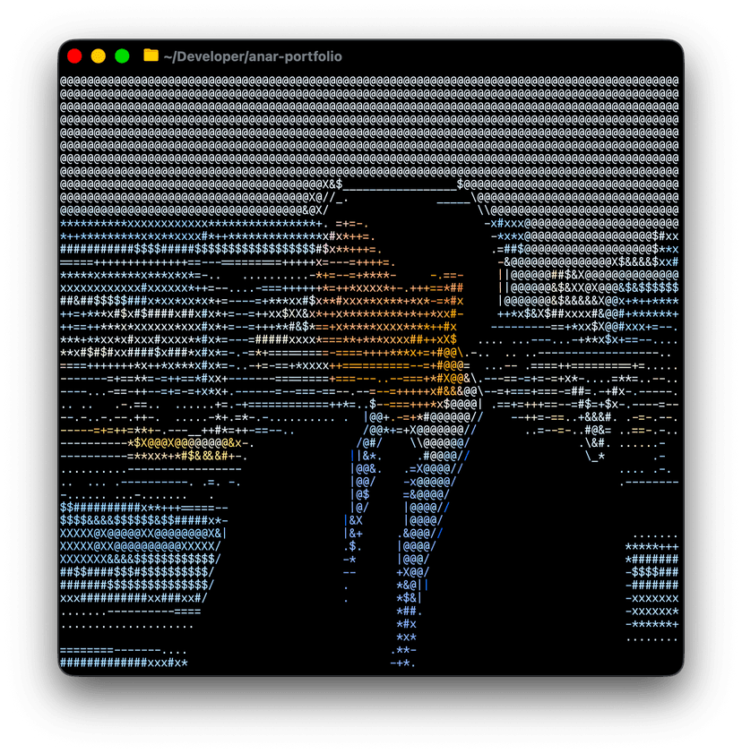 Photo of Anar Nyambayar